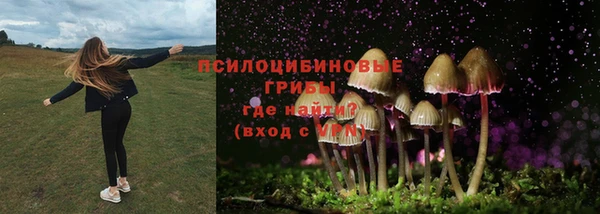 прущая мука Каменногорск