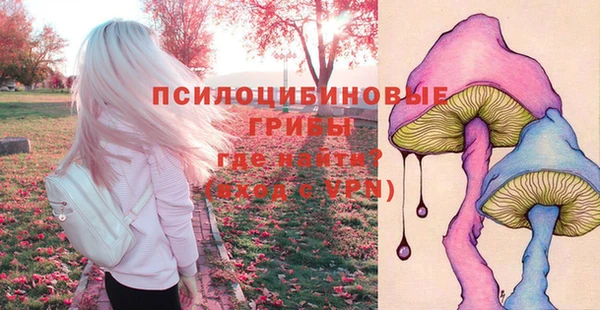 прущая мука Каменногорск